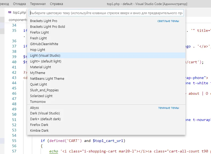 Выбор темы оформления в Visual Studio Code